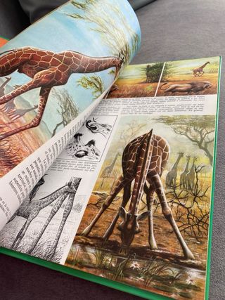 La vida secreta de los animales - En la sabana