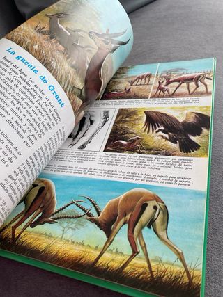 La vida secreta de los animales - En la sabana