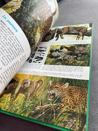 La vida secreta de los animales - En la sabana