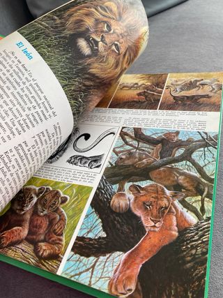 La vida secreta de los animales - En la sabana