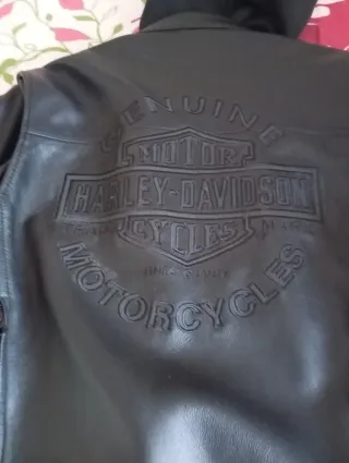 Chaqueta Harley Davidson.
