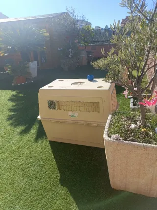 Transportín Jaula Vari Kennel Extra-Large