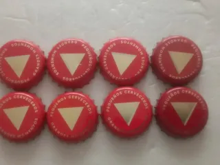 Chapa Cerveza Ámbar especial