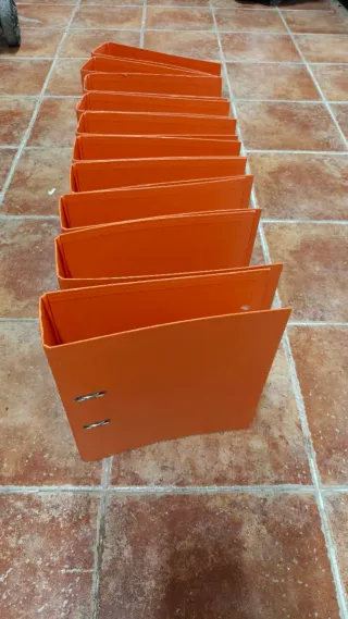 Lote 10 Archivadores Palanca.