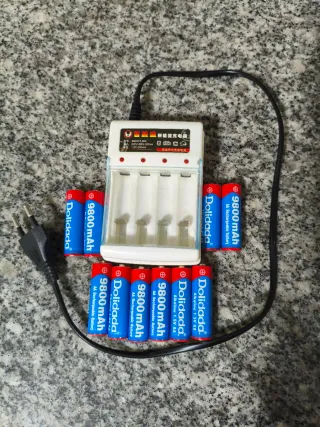 Cargador Pilas AA + 10 Pilas Recargables Dolidada