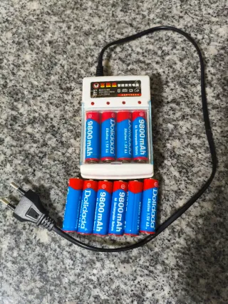 Cargador Pilas AA + 10 Pilas Recargables Dolidada