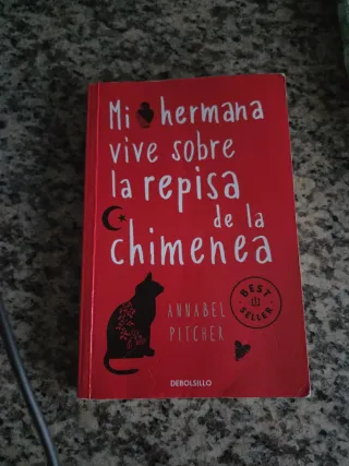 Mi hermana vive sobre la repisa de la chimenea