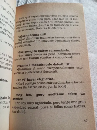 Manual práctico del lenguaje guay