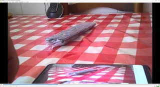 Cámara espía micro