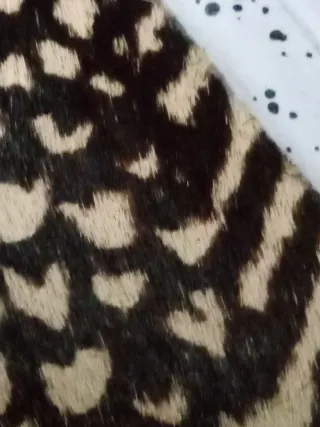 COLORS OF CALIFORNIA Scarpe Donna 38