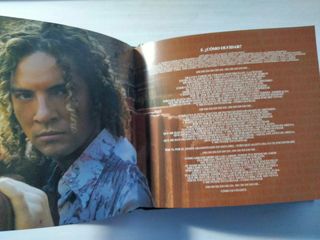 Bulería David Bisbal edición de lujo