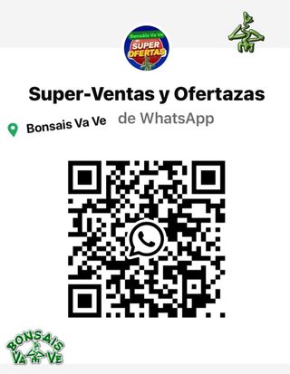 BONSAI MANZANO MINI SOBRE PIEDRA