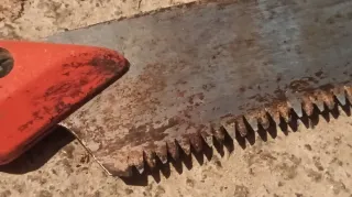 Serrucho con mango y funda de TECNOVAL AGRICOLA