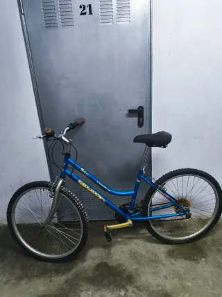 Bicicleta azul montaña