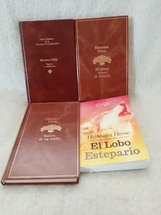 Lote libros Hermann Hese