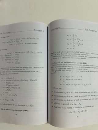 Libro Econometria II