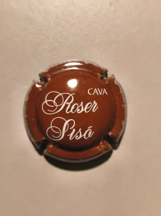 Lote 5 Placas de Cava