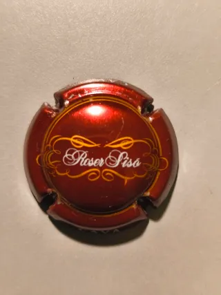 Lote 5 Placas de Cava