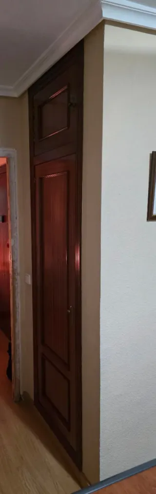 5 puertas sapelly + 1 doble de armario empotrado