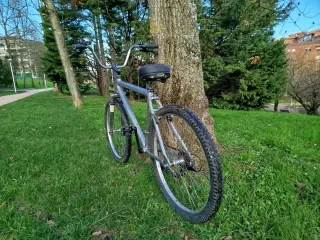 Bici Paseo Aluminio Zeus