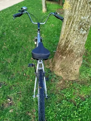 Bici Paseo Aluminio Zeus