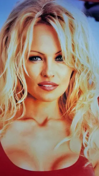 Bandera XXL Baywatch Pamela Anderson poster TV