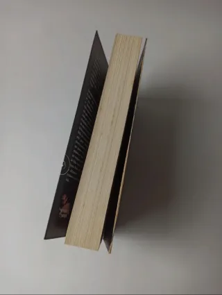 Na Sombra do Pecado Irmandade da Adaga Negra - ...