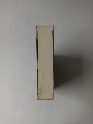 Na Sombra do Pecado Irmandade da Adaga Negra - ...