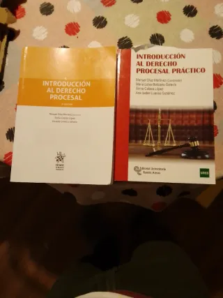Introducción al Derecho Procesal 2ª Edición