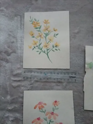 Acuarelas Florales - Set de 5 Pinturas