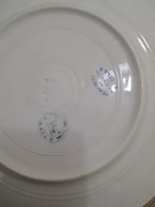 Pareja de platos SanJuan (L.C.S.J) Analfarache.