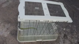 Jaula vision grande de pajaros