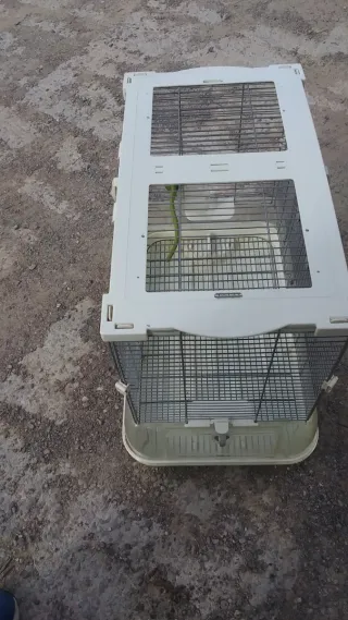 Jaula vision grande de pajaros