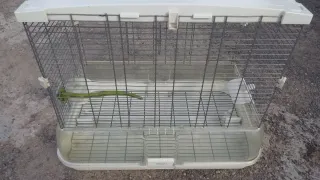 Jaula vision grande de pajaros