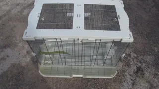 Jaula vision grande de pajaros