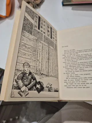 Libro " Buscant un nom" de M.Dolors Alibés i Riera