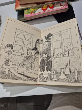 Libro " Buscant un nom" de M.Dolors Alibés i Riera