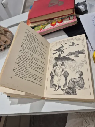 Libro " Buscant un nom" de M.Dolors Alibés i Riera