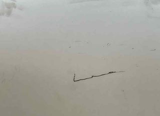 Capot citroen 7901p7 berlingo cuadro 1.6 140823