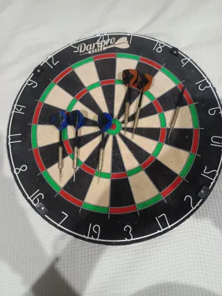 Diana de dardos Dartpro