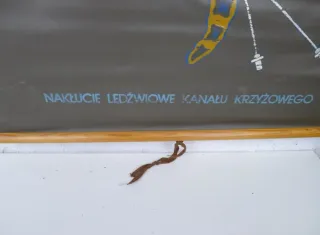 Tabla médica polaca 1950-1960, en cuero artificial