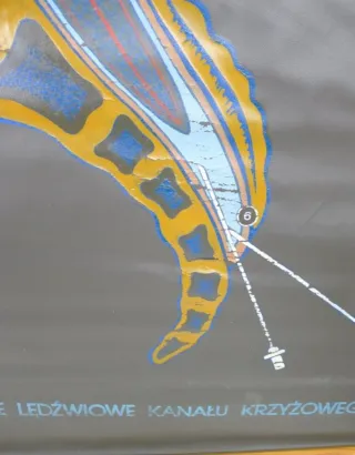 Tabla médica polaca 1950-1960, en cuero artificial