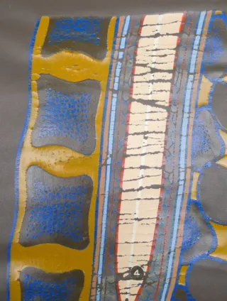 Tabla médica polaca 1950-1960, en cuero artificial