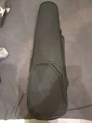 Violín Gaudieri HD-V01 4/4 con funda