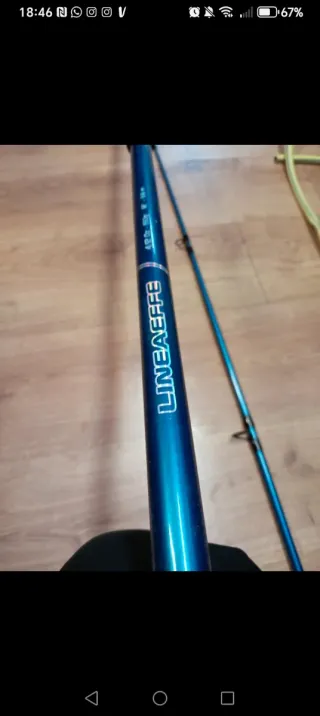 Canna da pesca Lineaeffe Vigor