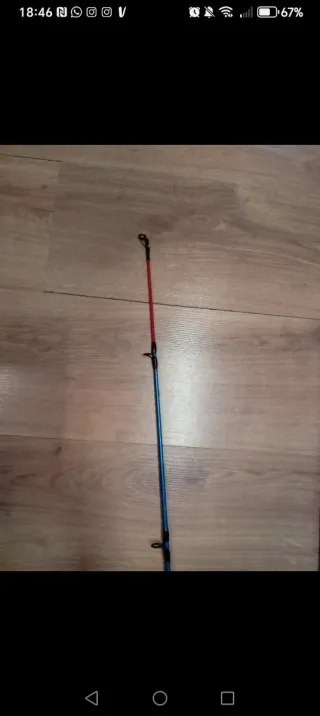 Canna da pesca Lineaeffe Vigor