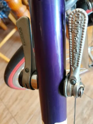 Bicicleta clasica Razesa años 80