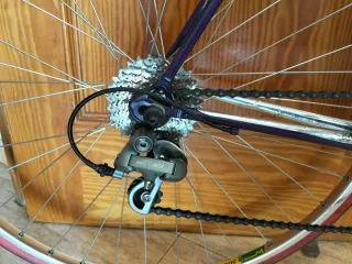 Bicicleta clasica Razesa años 80