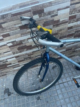 Bicicleta ciudad/montaña