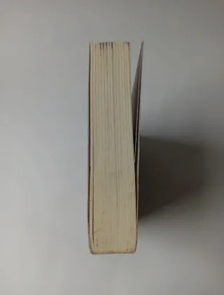 Na Sombra do Dragão (Portuguese Edition)